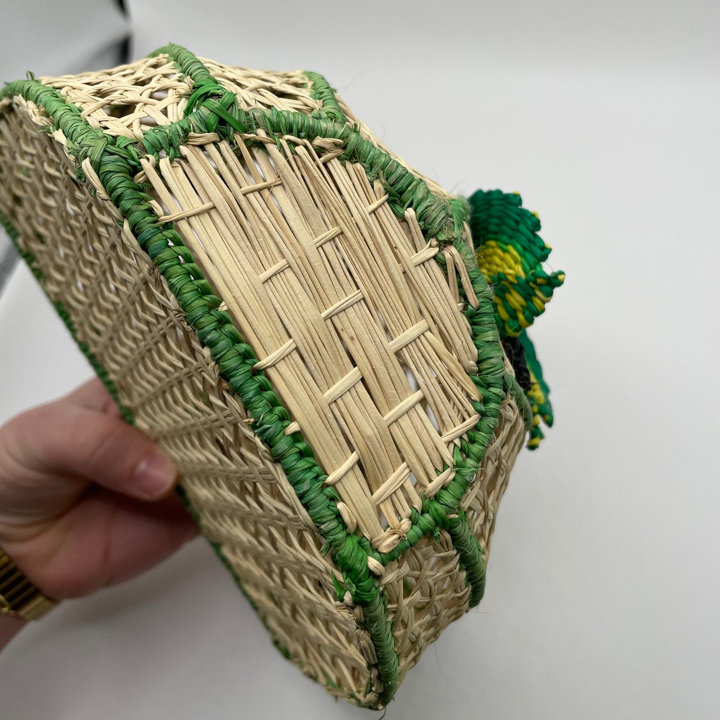 Wicker/Green Victoria Dunn Purse Woven Butterfly Bead