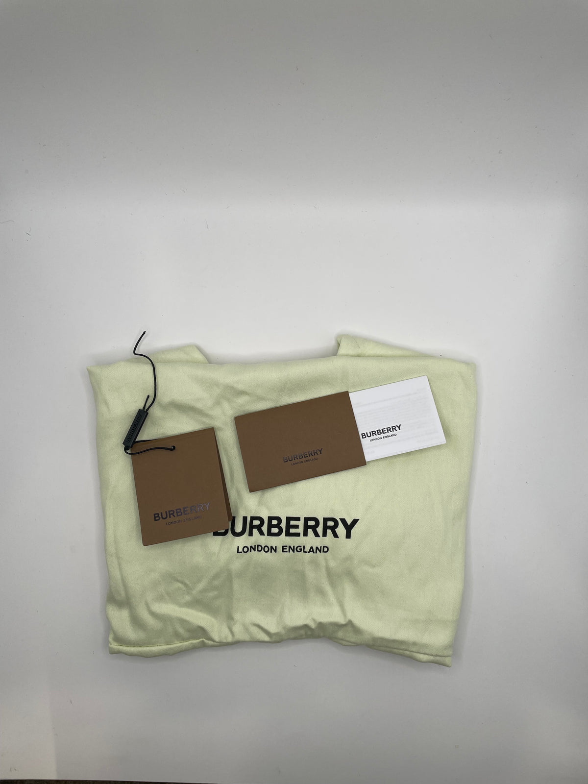 Nova Check Burberry Belt Bag "Sonny"