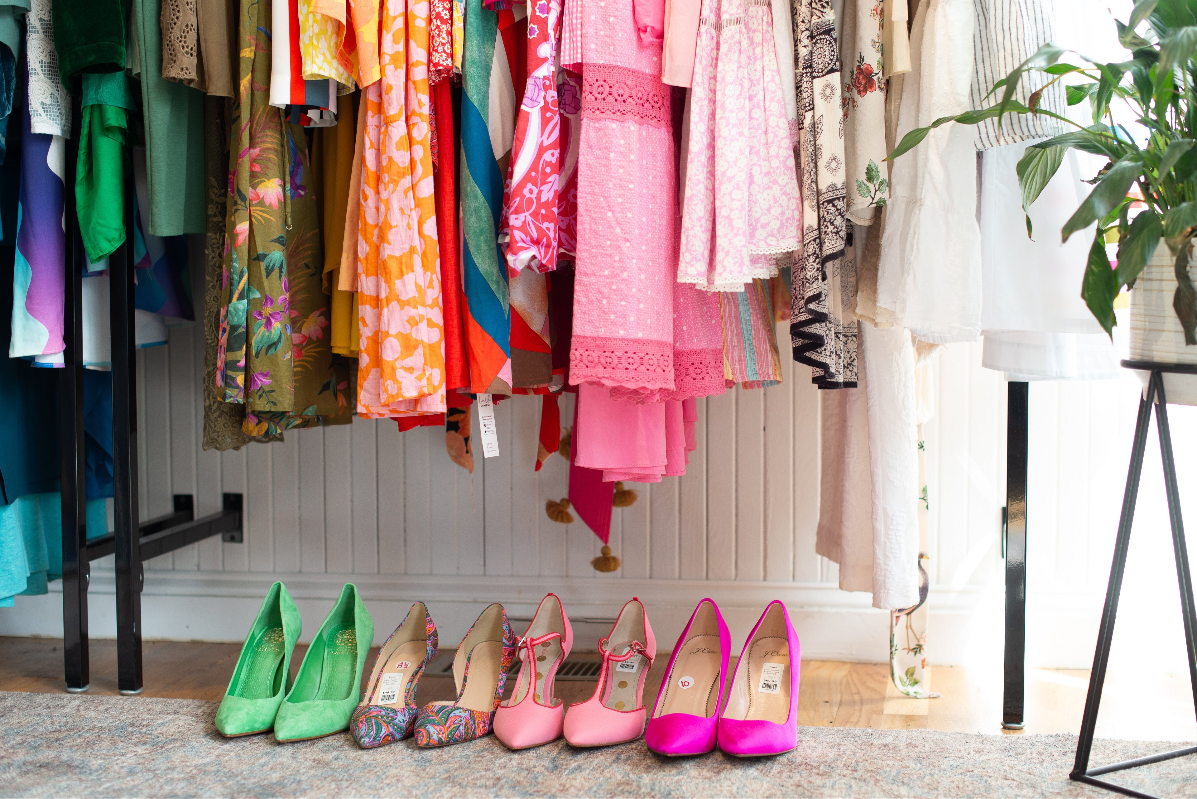 Colorful clothing and shoes displayed in a room with a plant.